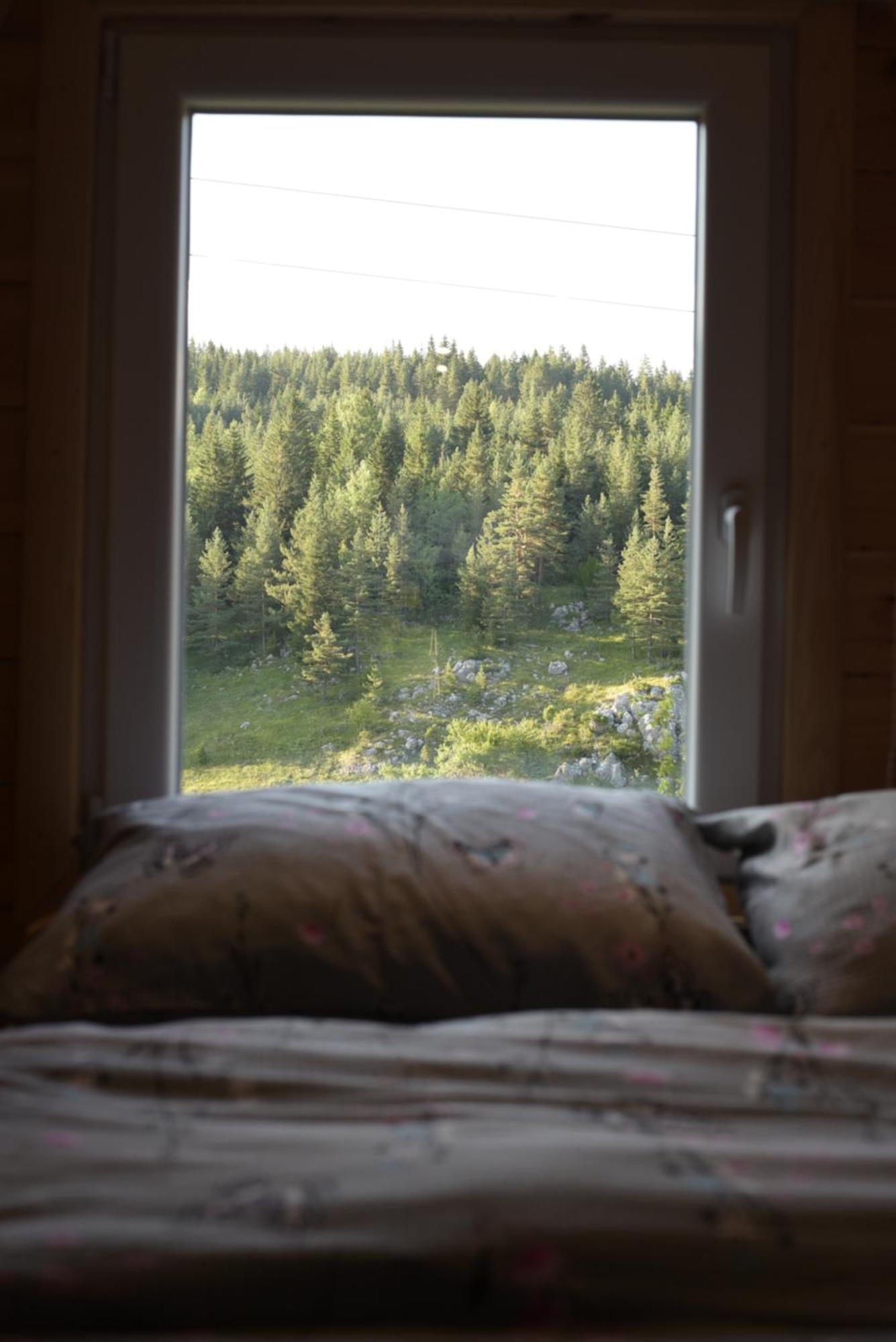 Mountain Paradise Cabin #1 Žabljak Εξωτερικό φωτογραφία